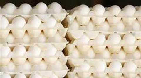 eggs hurling bjp odisha