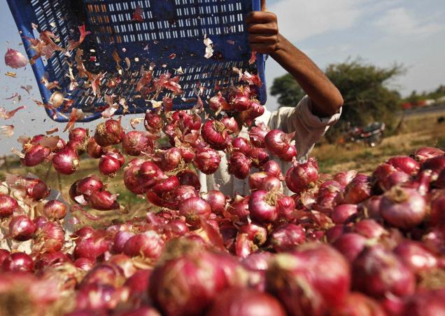 onion price Odisha unseasonal rain Maharashtra