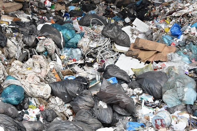 Garbage Heaps During Pandemic