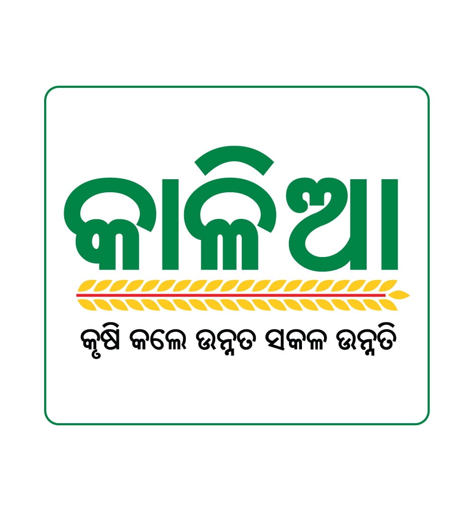 Kalia Beneficiaries To Get Financial Assistance By Jan 26