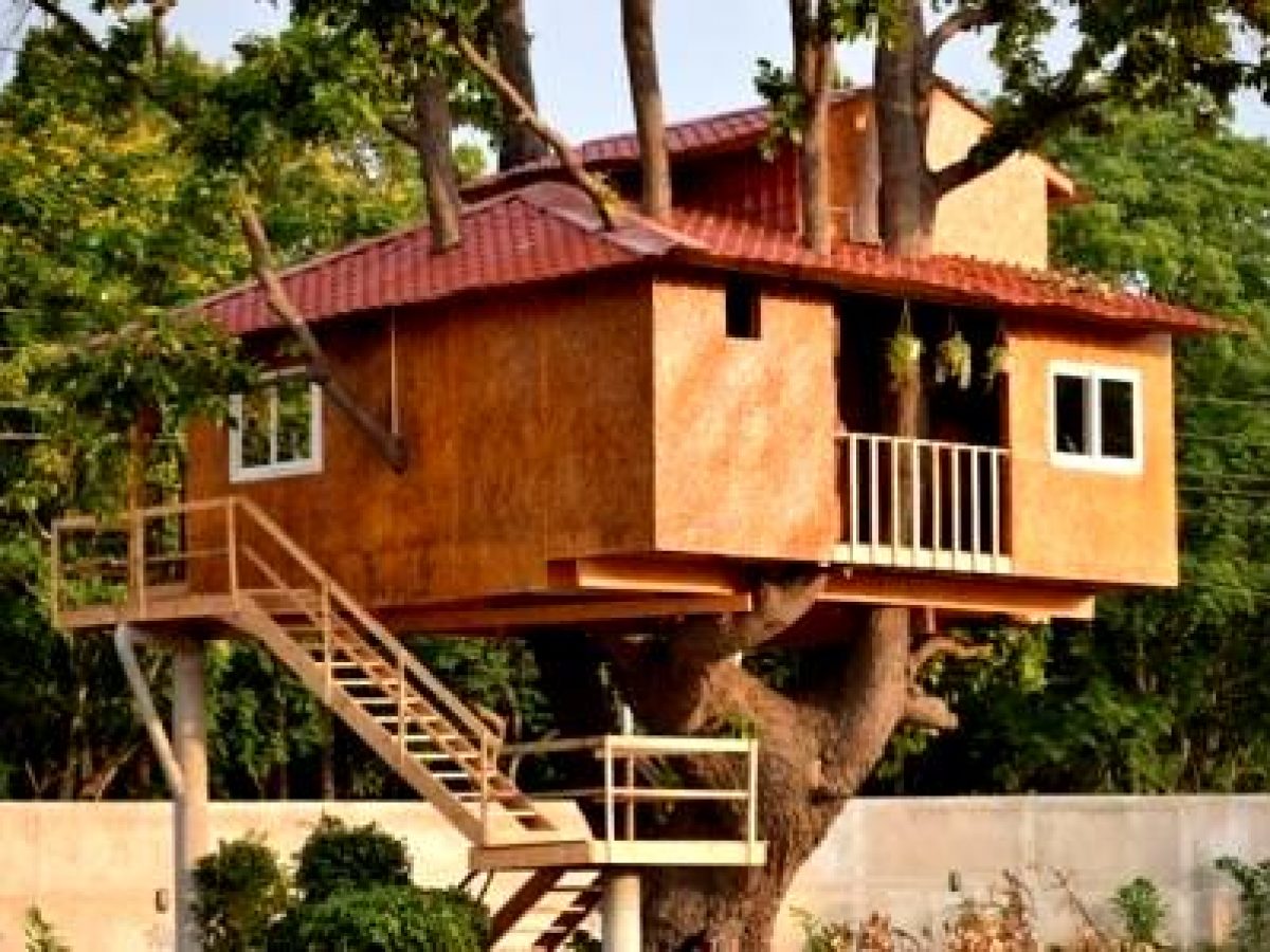 Keonjhar Man Builds Tree House, Puts It On World Map - odishabytes