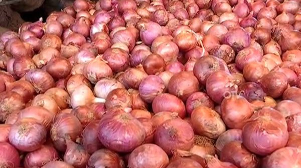 Onion seeds Export ban