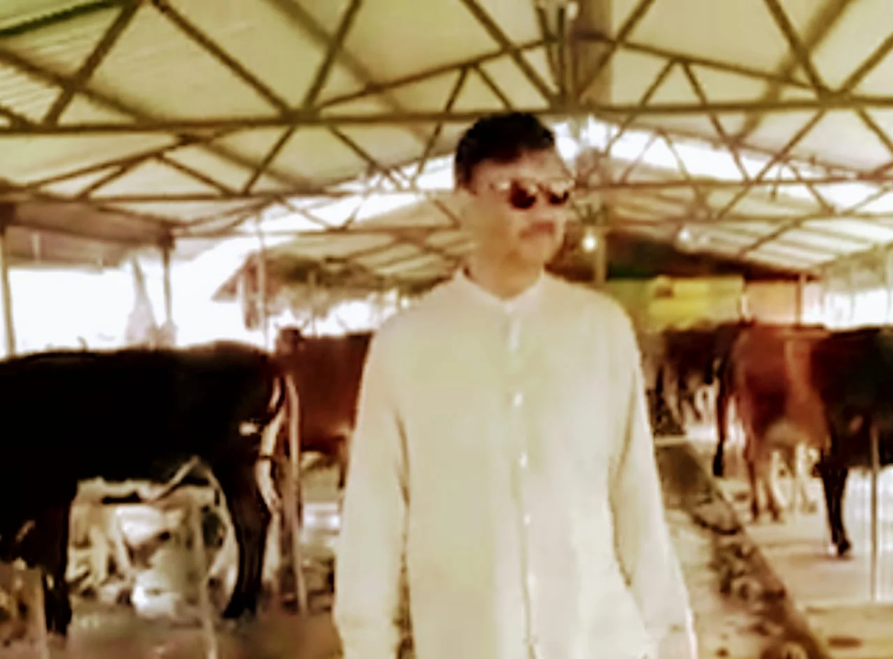 What Is This Odia Actor Doing When He's Not Acting? Milking Cows At His  Dairy Farm - odishabytes