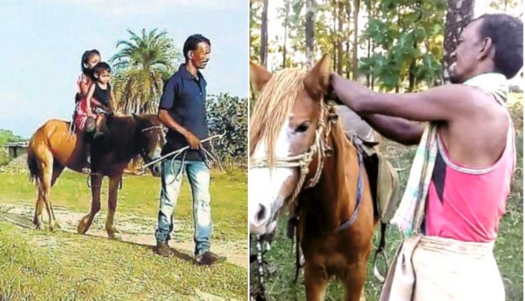 Odisha Farmer Rides Horse To Avoid Hefty Traffic Fines - odishabytes