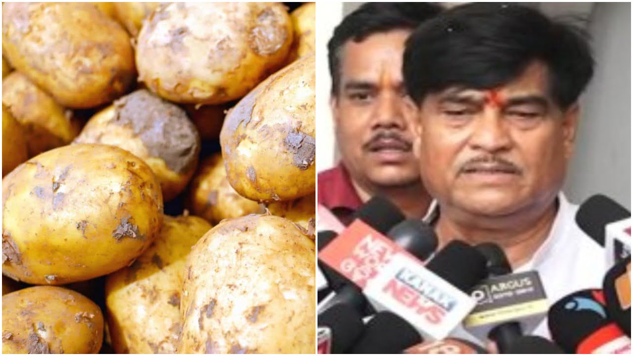 Potato Price Shoots Up In Odisha - odishabytes