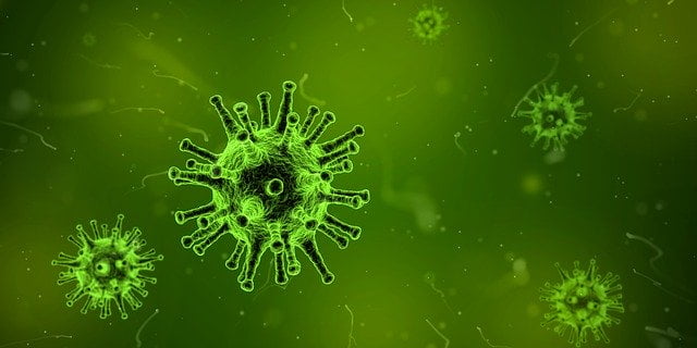 Puri Crossed Half-Century In Virus