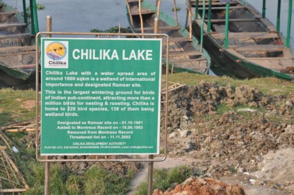 chilika lake