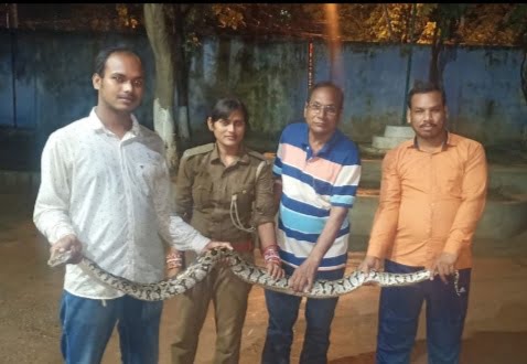 Python rescued Berhampur