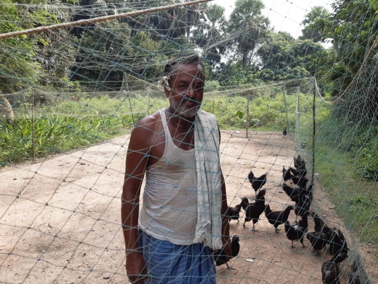 Odisha bhadrak district farmer profitable backyard poultry farming