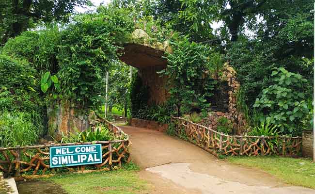 3 Forest Officials Suspended In Odisha's Similipal