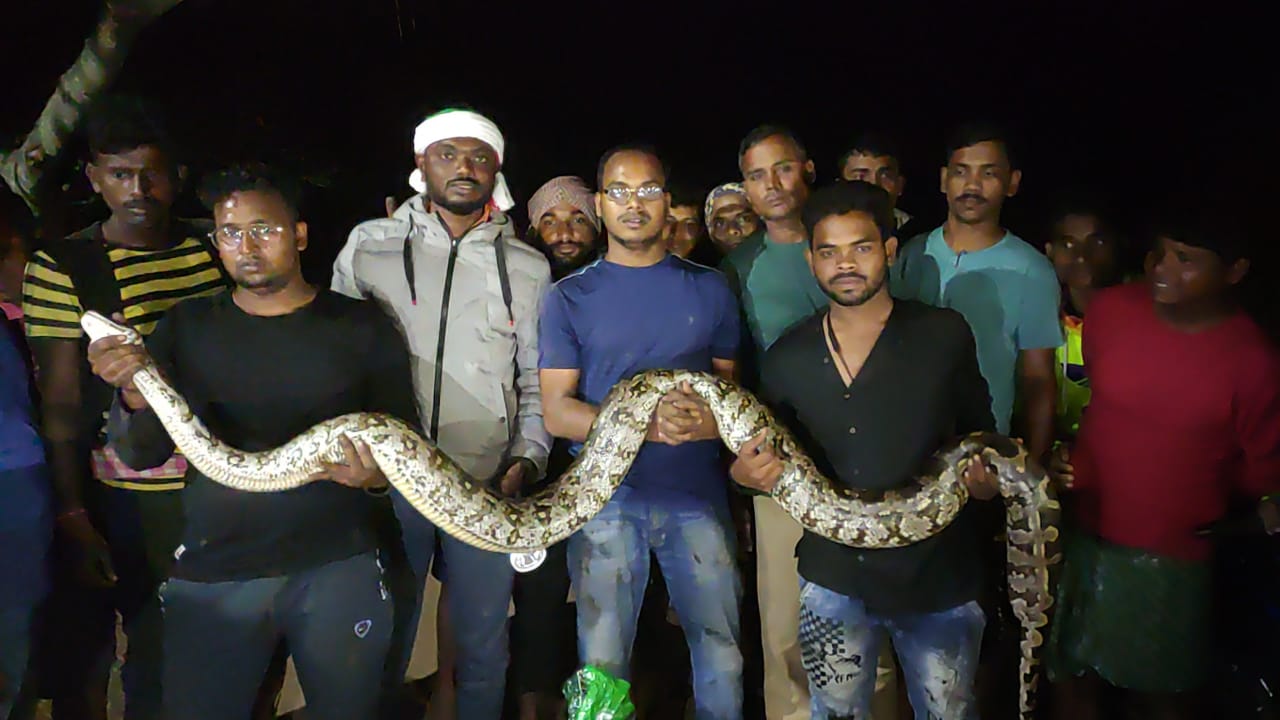 pythons JCB Berhampur