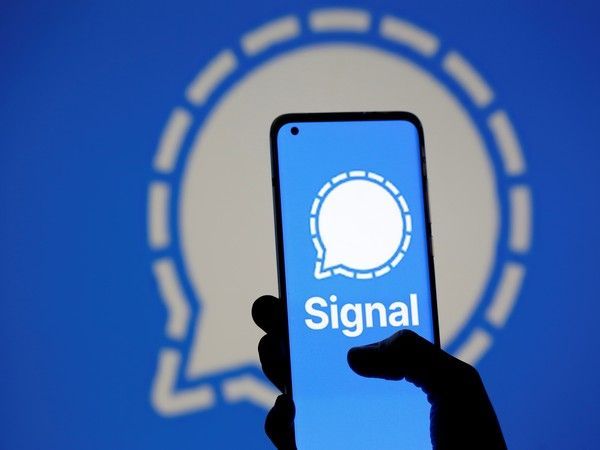 signal app outage