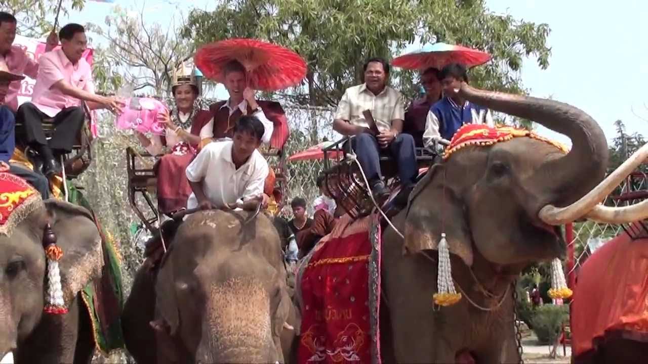 Thai wedding on elephants