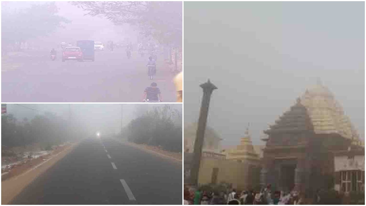 Foggy Start To Thursday Morning In Odisha's Twin Cities, Puri