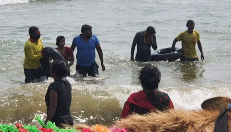 [Watch] Lifeguards Save Tourists From Drowning In Puri Sea - odishabytes