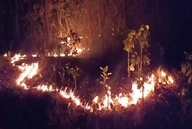 Kansa Appeals Forests Fire
