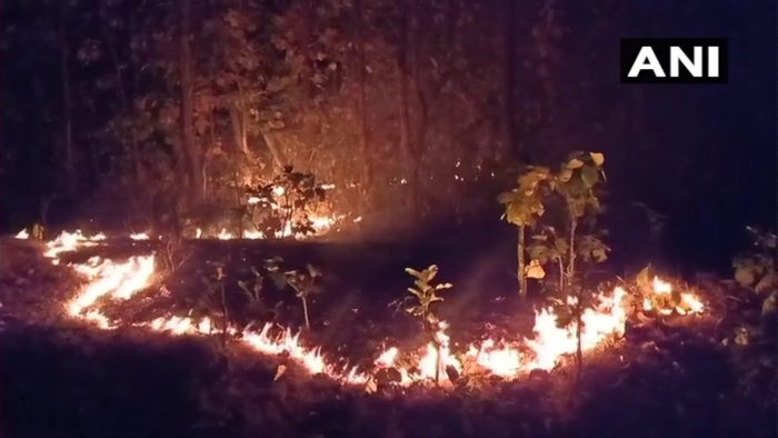 forest fire odisha