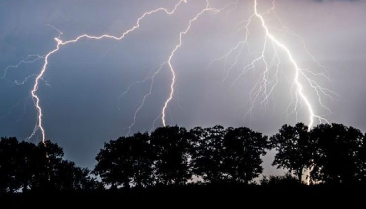 5 Killed In Separate Incidents Of Lightning Strike In Odisha's Mayurbhanj &  Jharsuguda - odishabytes