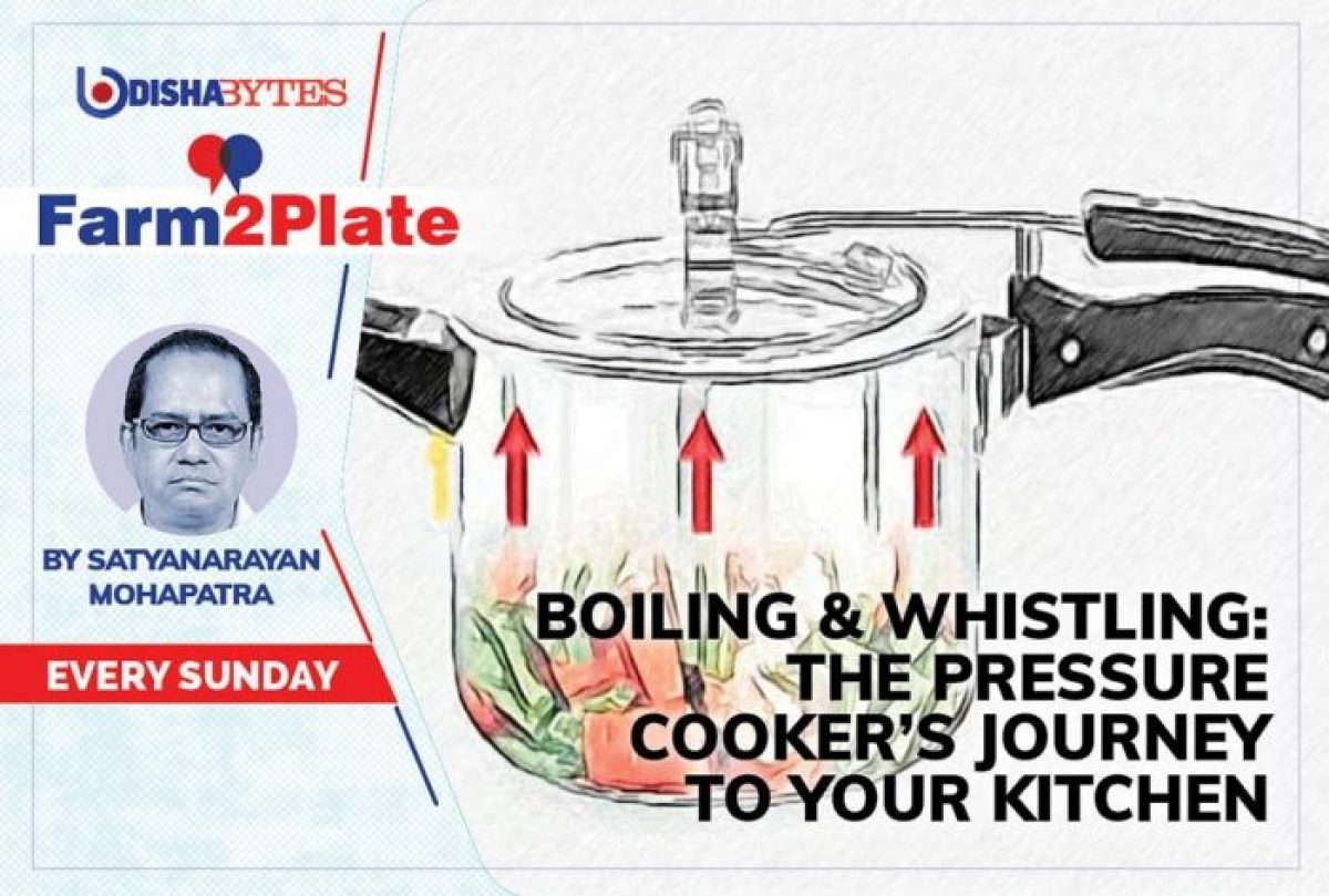 Pressure cooker best sale not giving whistle