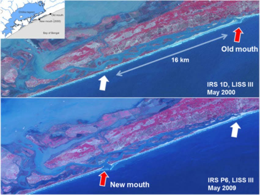 Representative image of Chilika new mouth 