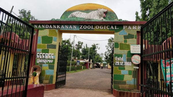 nandankanan zoo bhubaneswar