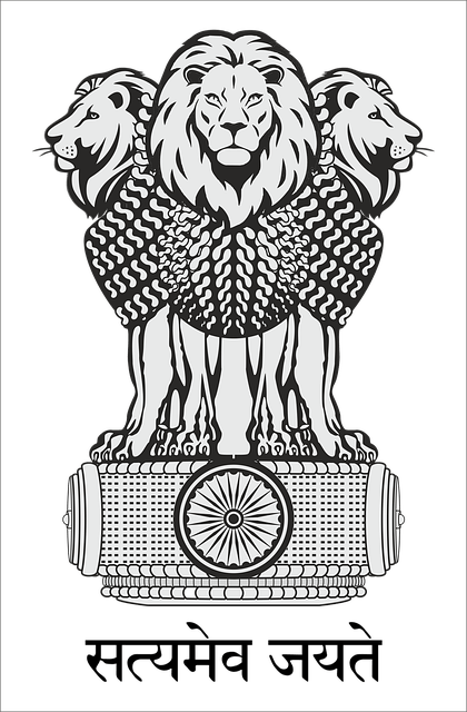 Satyamev Jayate - See this amazing piece of art by Manish... | Facebook