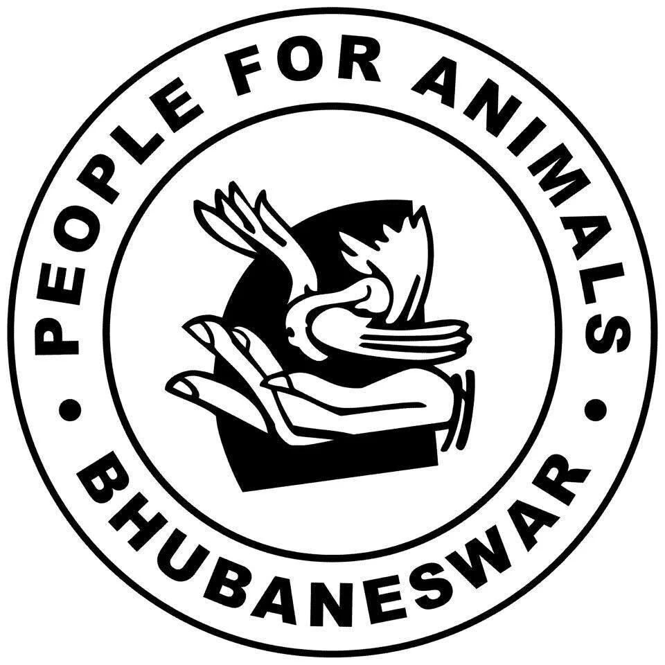 State Animal Welfare Board Blacklists Secretary Of People for Animals,  Bhubaneswar; Know Why - odishabytes