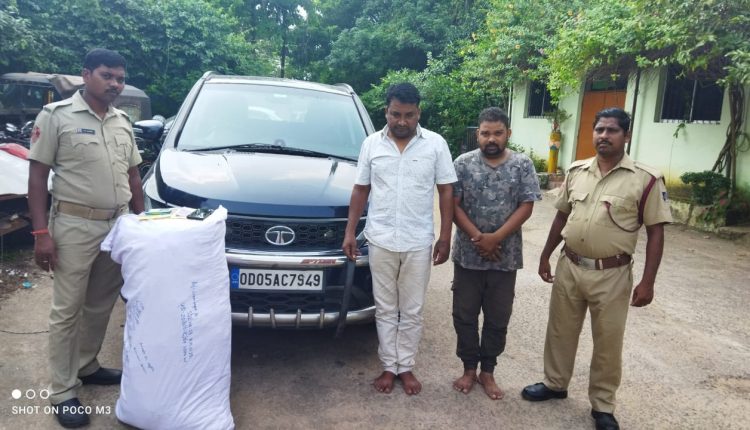 2 Arrested In Bhubaneswar For Smuggling Ganja From Kandhamal Odishabytes