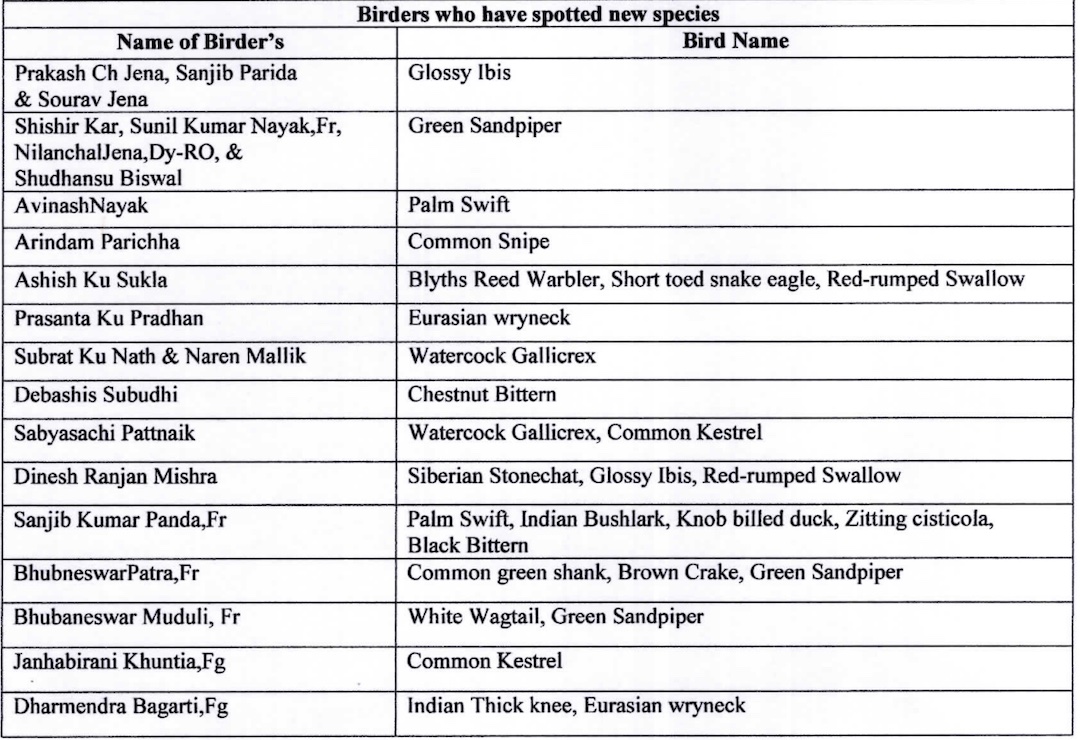 Odisha's Hirakud See Marginal Rise In Bird Count, 20 New Species ...