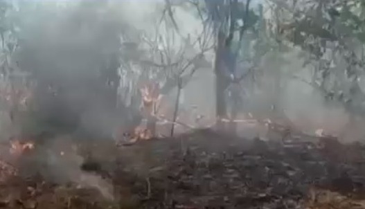 Forest Fire Increasing In Odisha’s Jungle, Nabarangpur Jungle Burning Since 2 Days
