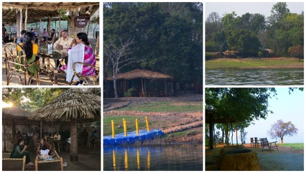 Bat-Island In Debrigarh Emerging As Ecotourism Hotspot Of Odisha