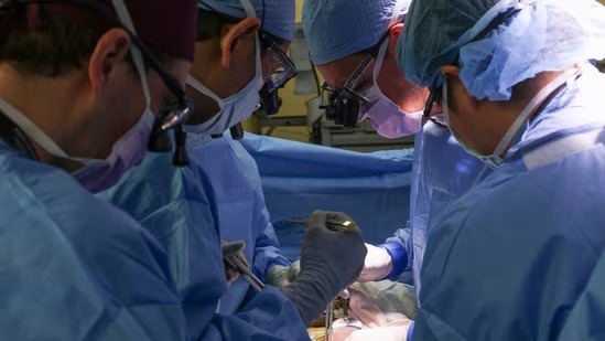 US Doctors Conduct First Pig-To-Human Kidney Transplant, Will It Address Donor Organ Crisis?